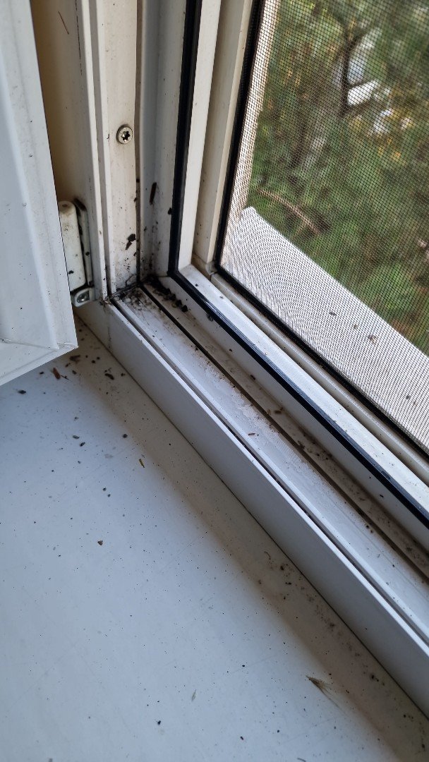 Prozori pre čišćenja