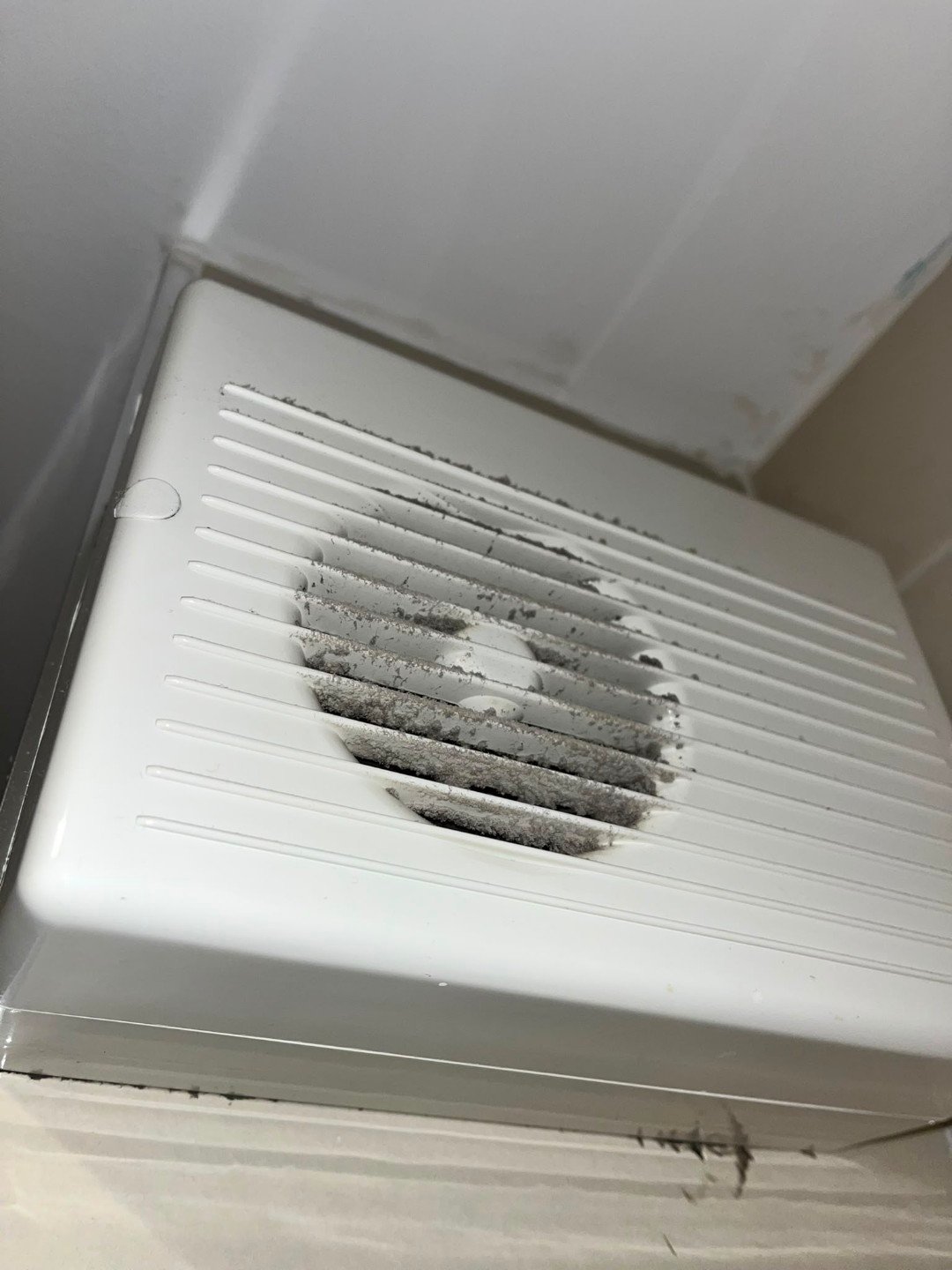 Ventilacija pre čišćenja