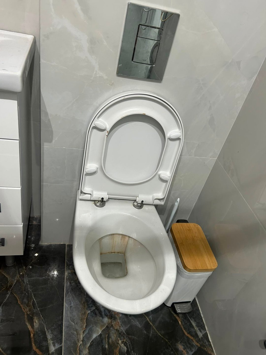 Sanitarije pre čišćenja